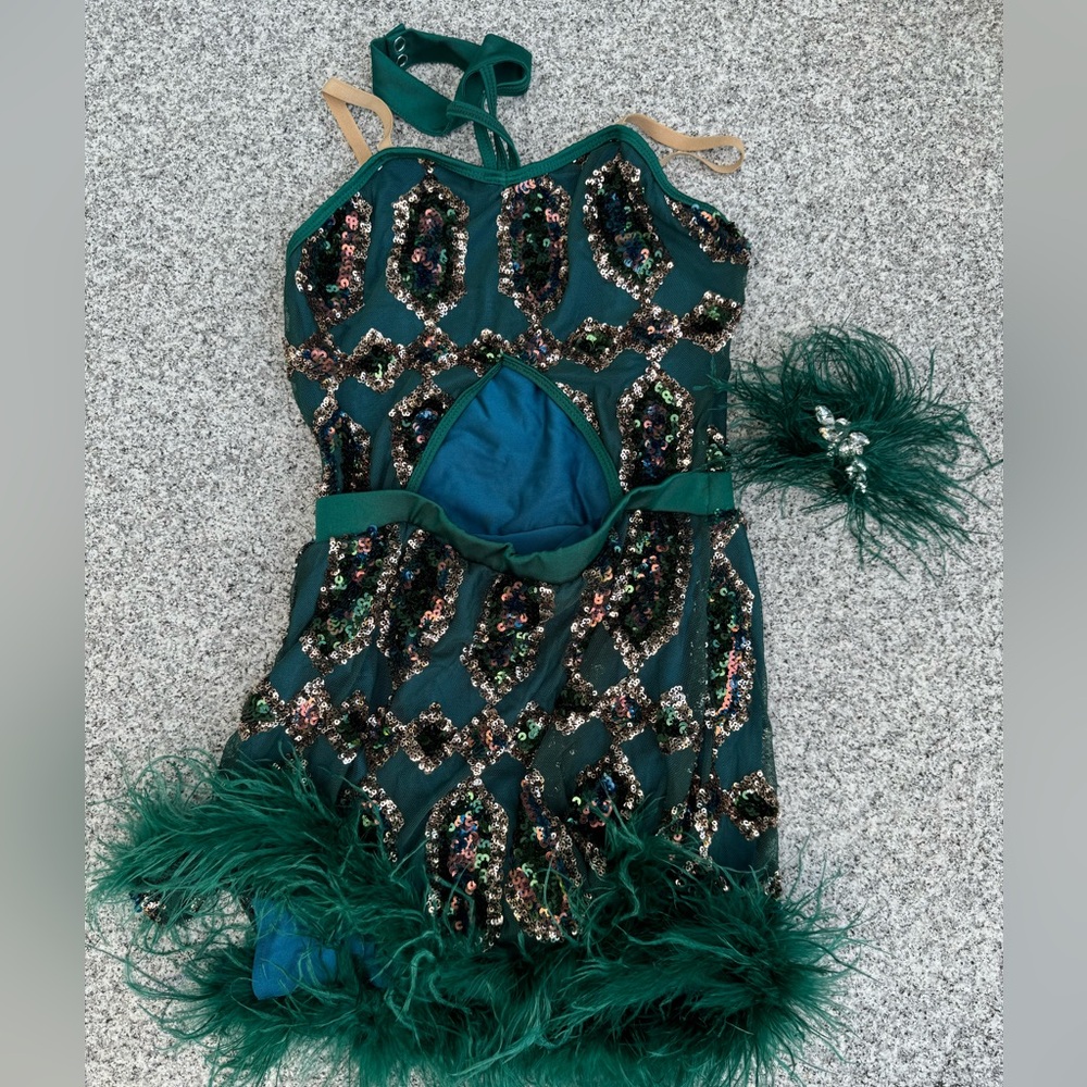 Girls Peacock Dance Costume